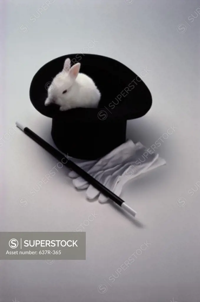 Rabbit in a top hat near a magic wand and white gloves