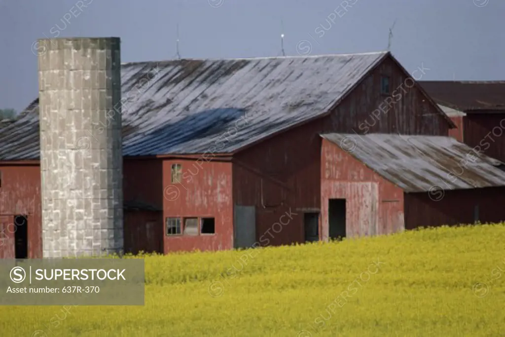 Barn on a farm, Ohio, USA