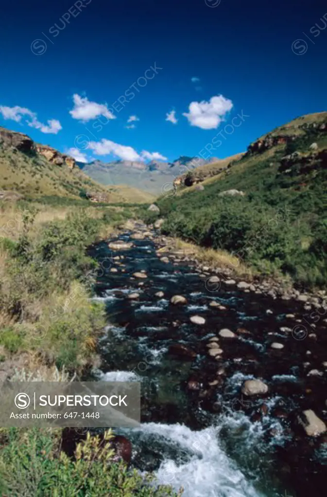 Stream flowing through a landscape, Ukhahlamba-Drakensberg Park, South Africa