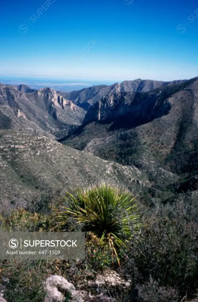 Panoramic view of a mountain range, Guadalupe Mountains National Park, Texas, USA