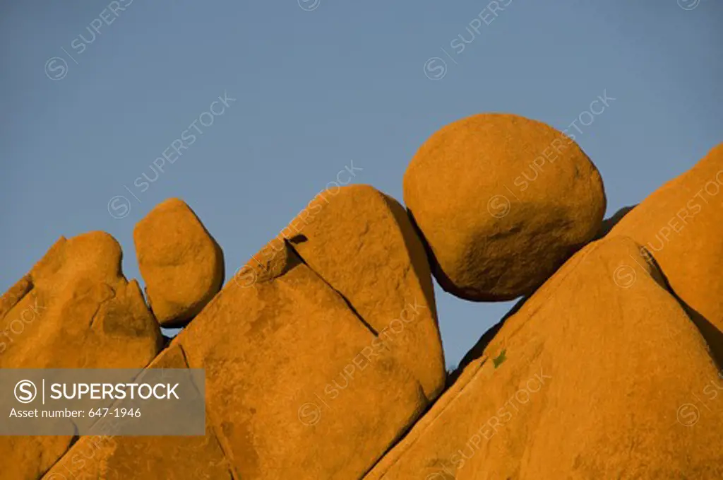 Rocks in the forest, Joshua Tree National Monument, California, USA