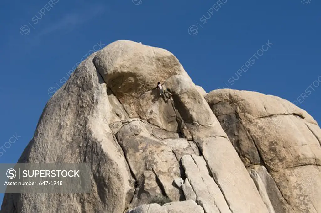 Rock climber climbing a rock, Joshua Tree National Monument, California, USA