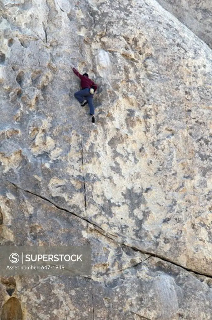 Rock climber climbing a rock, Joshua Tree National Monument, California, USA