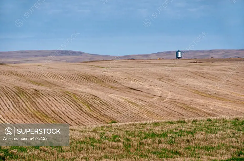 Harvested wheat field, Saskatchewan, Canada