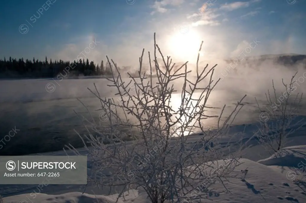 Canada, Yukon, Whitehorse, Yukon River in winter