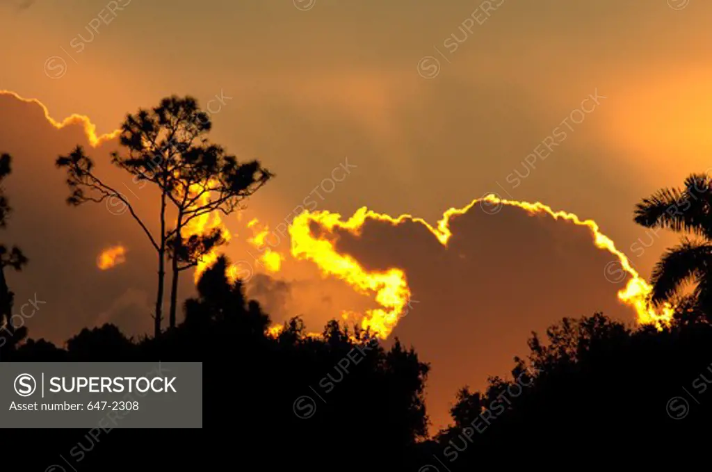 USA, Florida, Wakodahatchee Wetlands, Scenic sunset