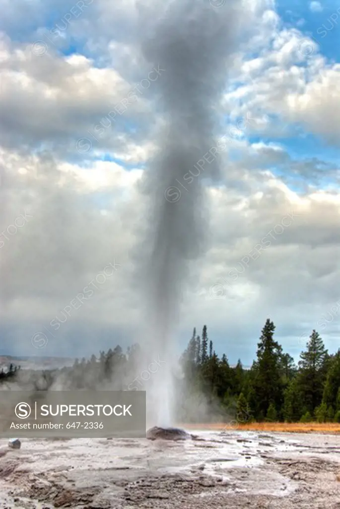 USA, Wyoming, Yellowstone National Park, Geyser Releasing Steam
