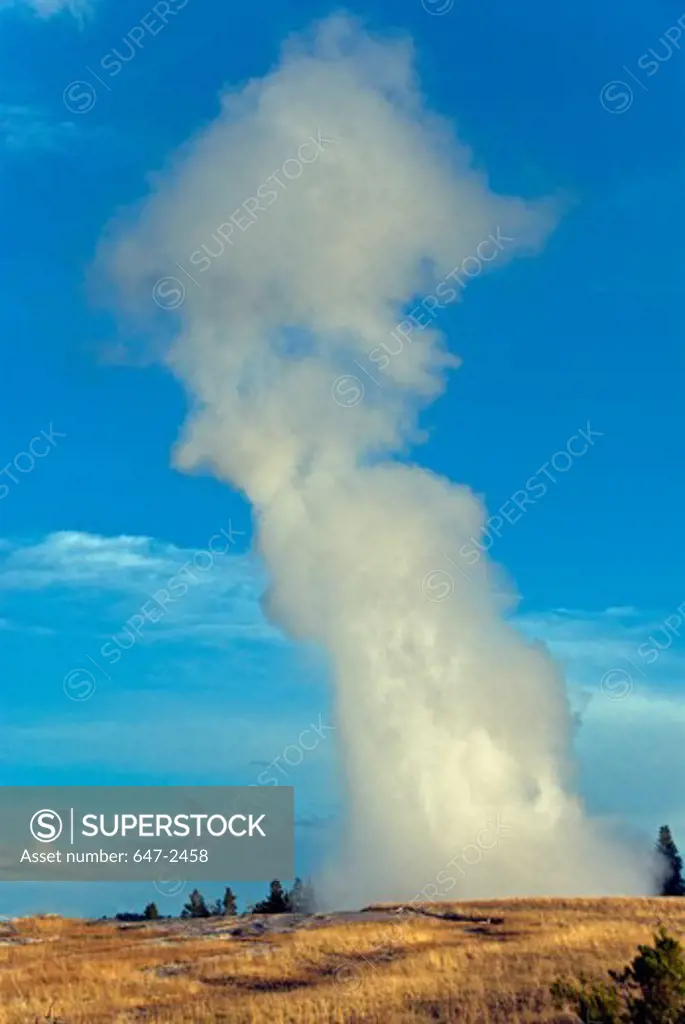 Old Faithful Geyser erupting shooting water high into the air. Wyoming