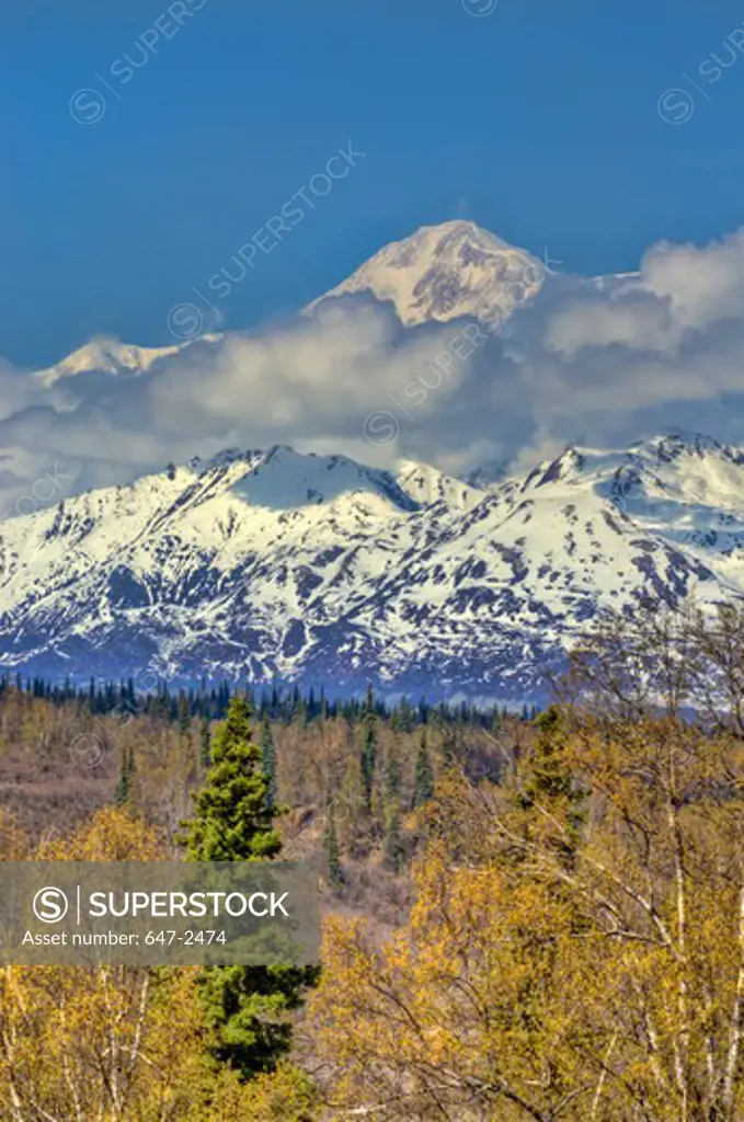 mt. mckinley-south side view-alaska