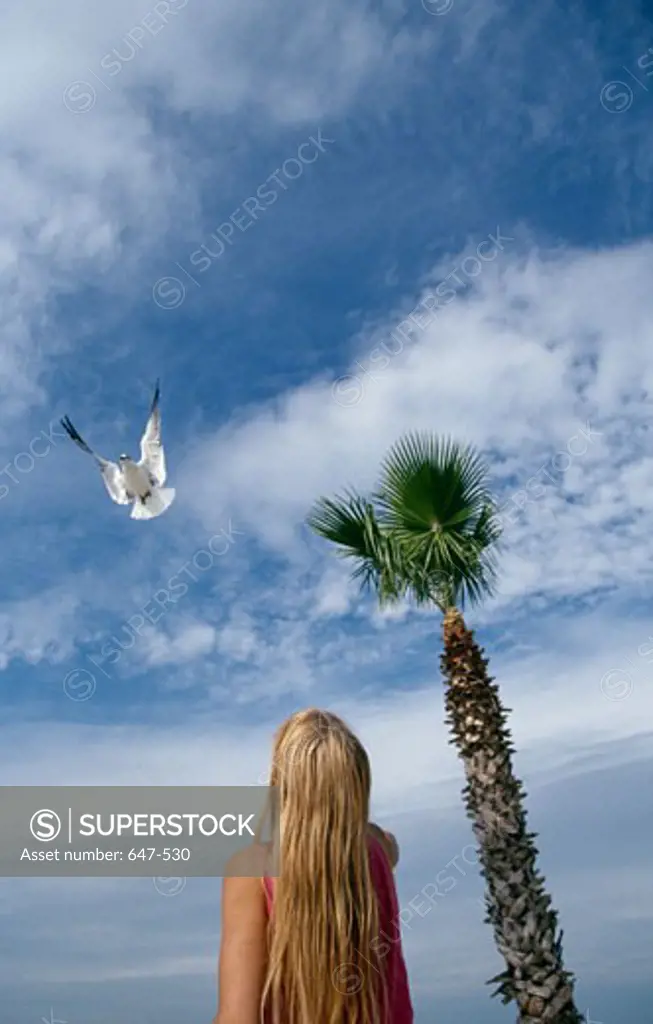 Girl looking at a seagull flying in the sky