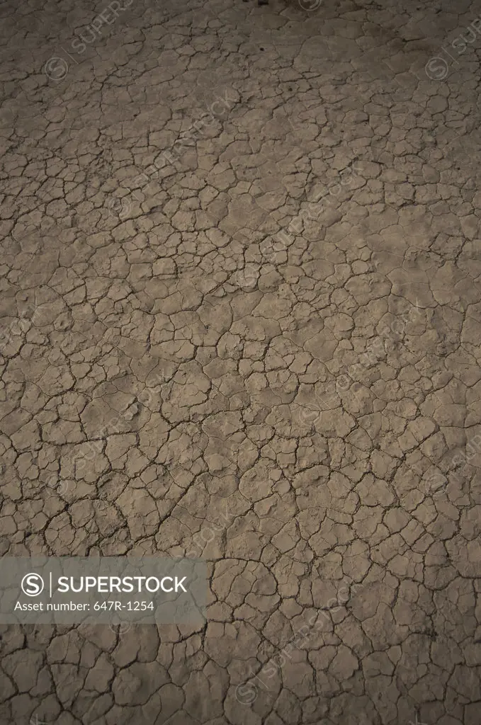 Close-up of a cracked mud floor