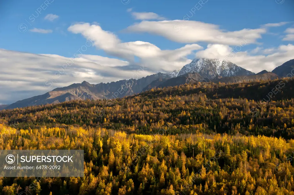 USA, Alaska, Autumn landscape as seen from Glenn Highway