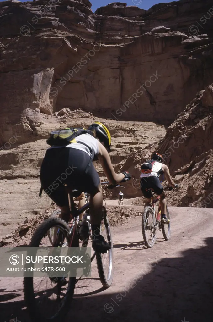 Rear view of four people cycling, Canyonlands National Park, Utah, USA