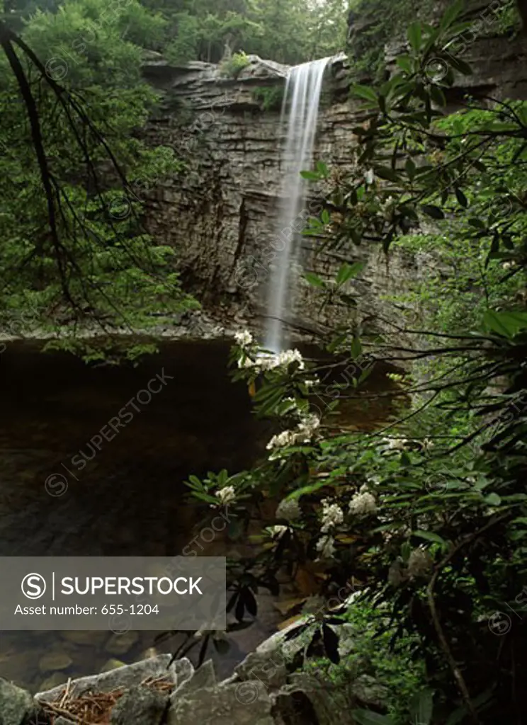 Waterfall in a forest, Awosting Falls, Minnewaska State Park, New York State, USA