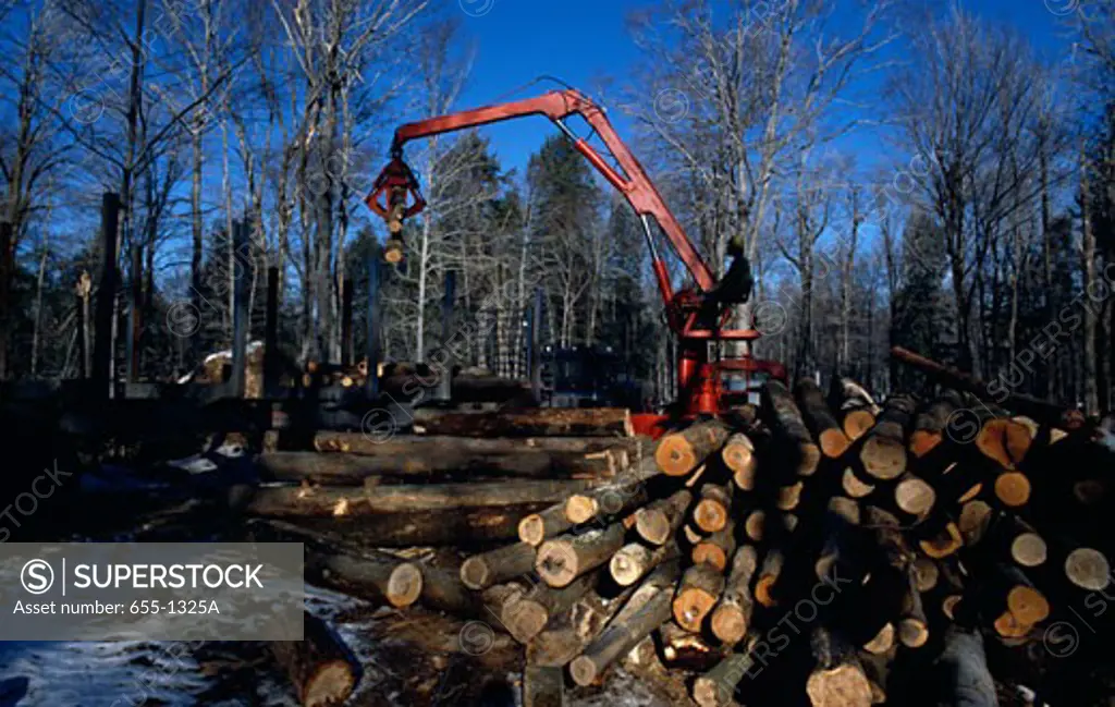 Lumberjack working in a lumberyard