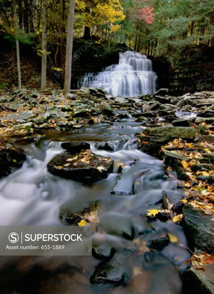 Waterfall in a forest, Savantine Falls, Delaware State Forest, Pennsylvania, USA