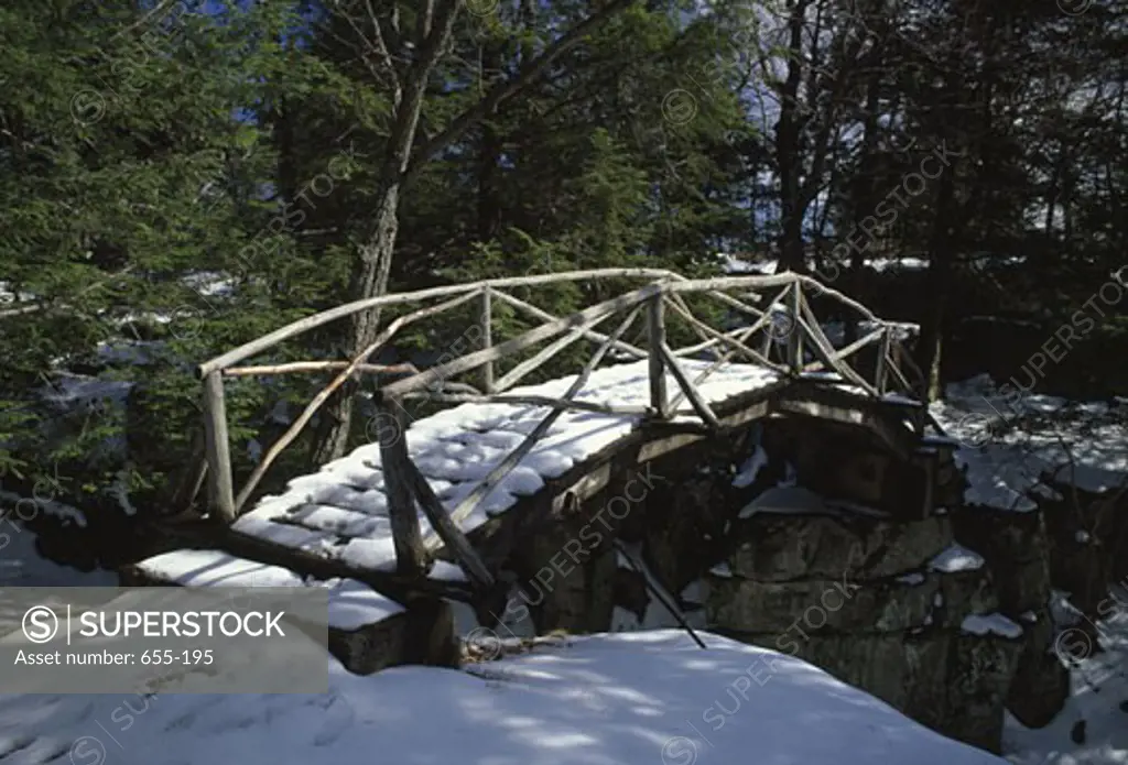 Wooden bridge in a forest, Minnewaska State Park Preserve, Shawangunk Mountains, New York State, USA