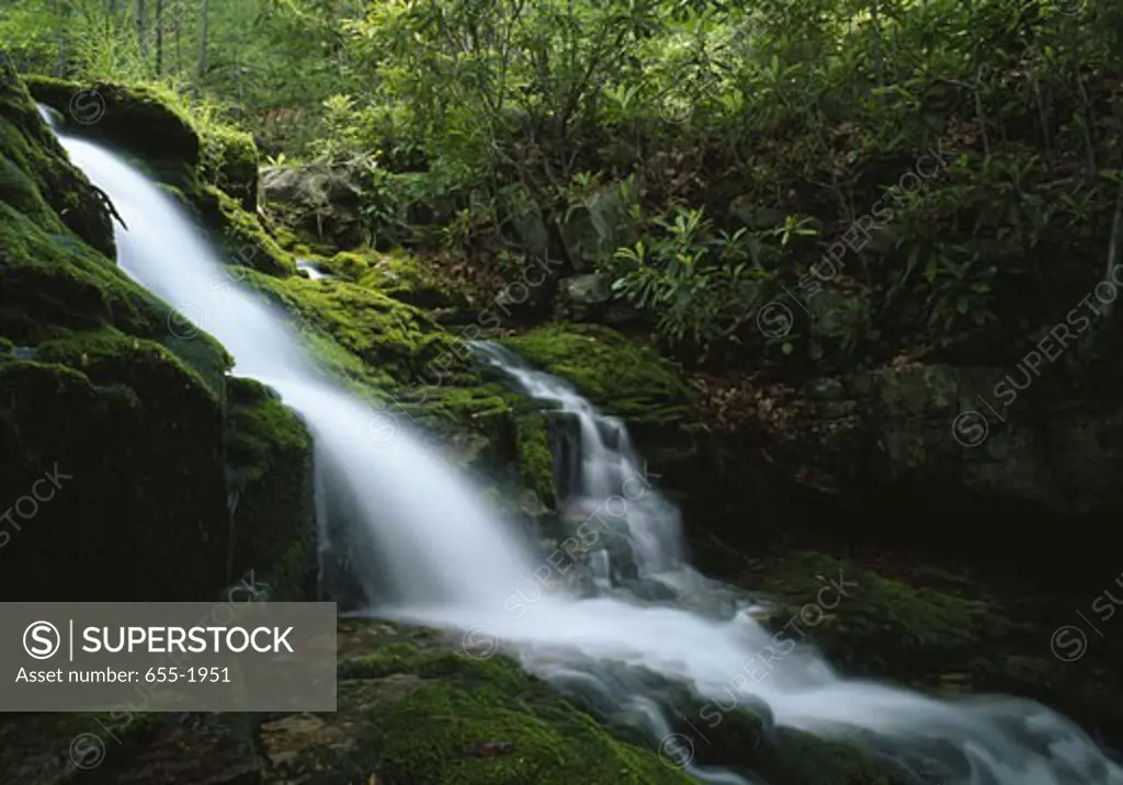 Waterfall in a forest, Rattlesnake Falls, Pocono Mountains, Pennsylvania, USA