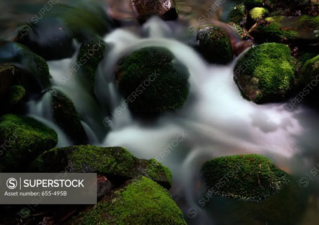 Creek flowing through rocks, Rattlesnake Creek, Pocono Mountains, Pennsylvania, USA