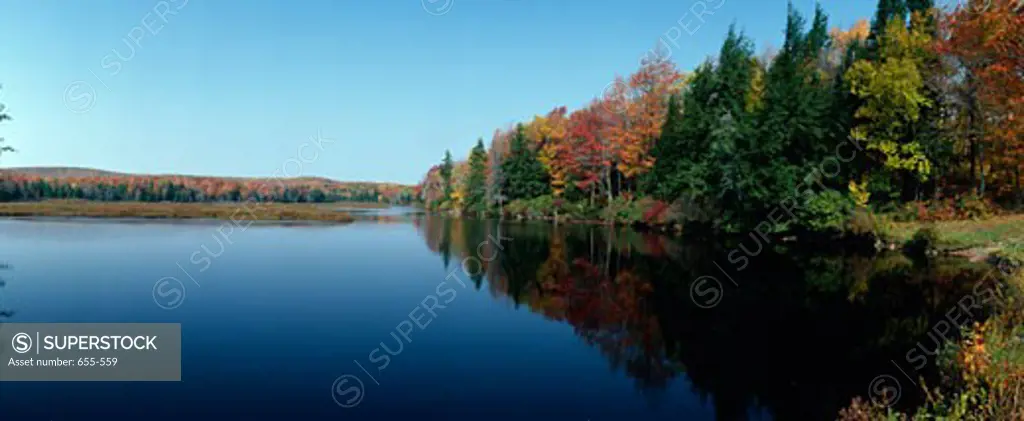 Reflection of trees in water, Bog Pond, Savoy Mountain State Forest, Massachusetts, USA
