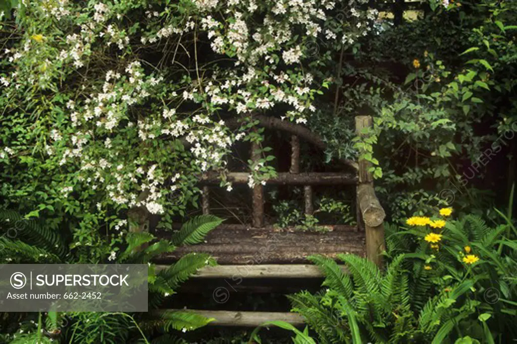 Garden bench among flowers