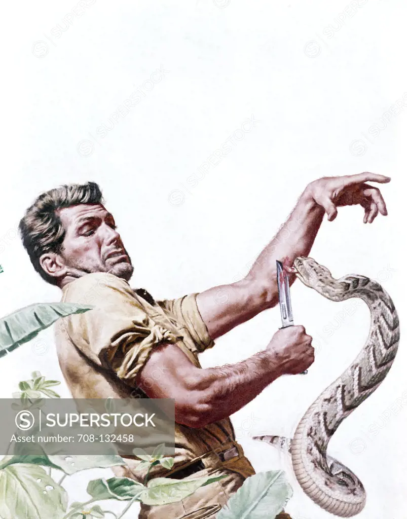 Man fighting with snake by Stanley Borack, 20th century