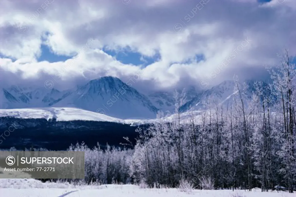 Snow covered landscape of Kluane National Park, Yukon Territory, Canada