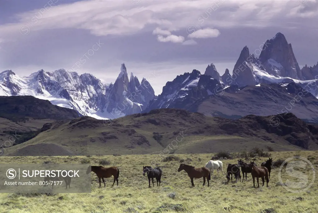 Andes Mountains Patagonia Argentina  