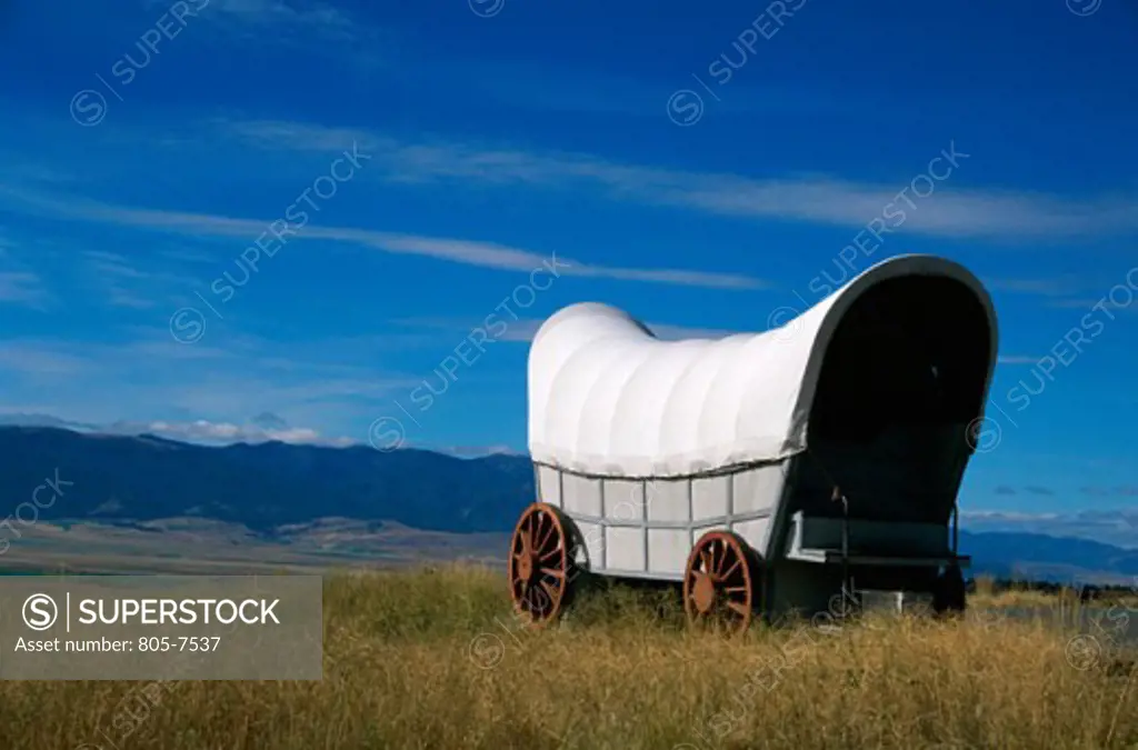 Covered wagon in a field, Oregon, USA