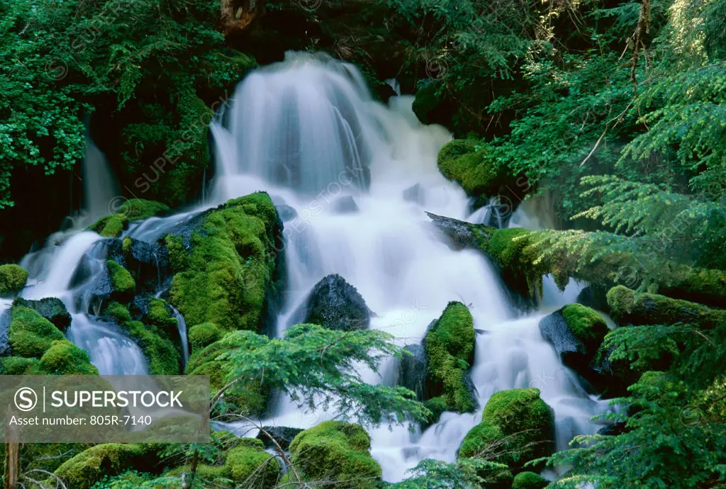 Clearwater Falls, Umpqua National Forest, Oregon, USA