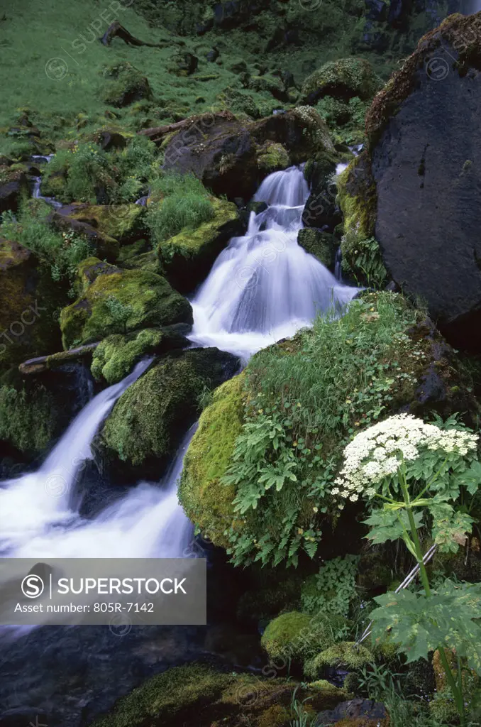Watson Falls, Umpqua National Forest, Oregon, USA