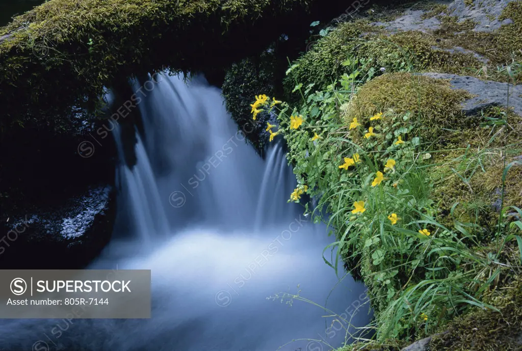 Watson Falls, Umpqua National Forest, Oregon, USA
