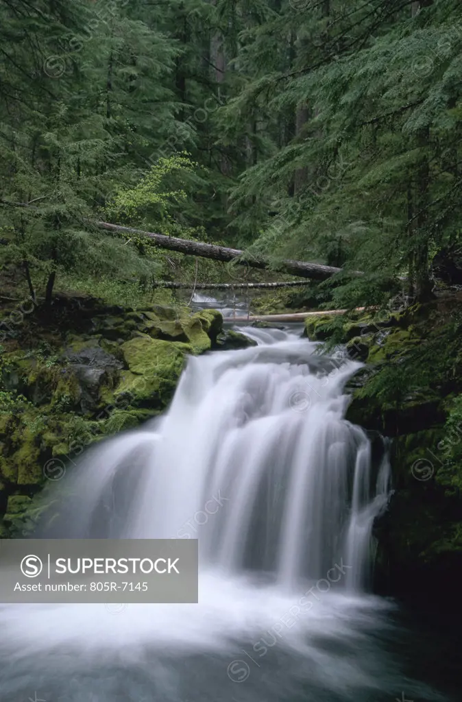 Whitehorse Falls, Umpqua National Forest, Oregon, USA