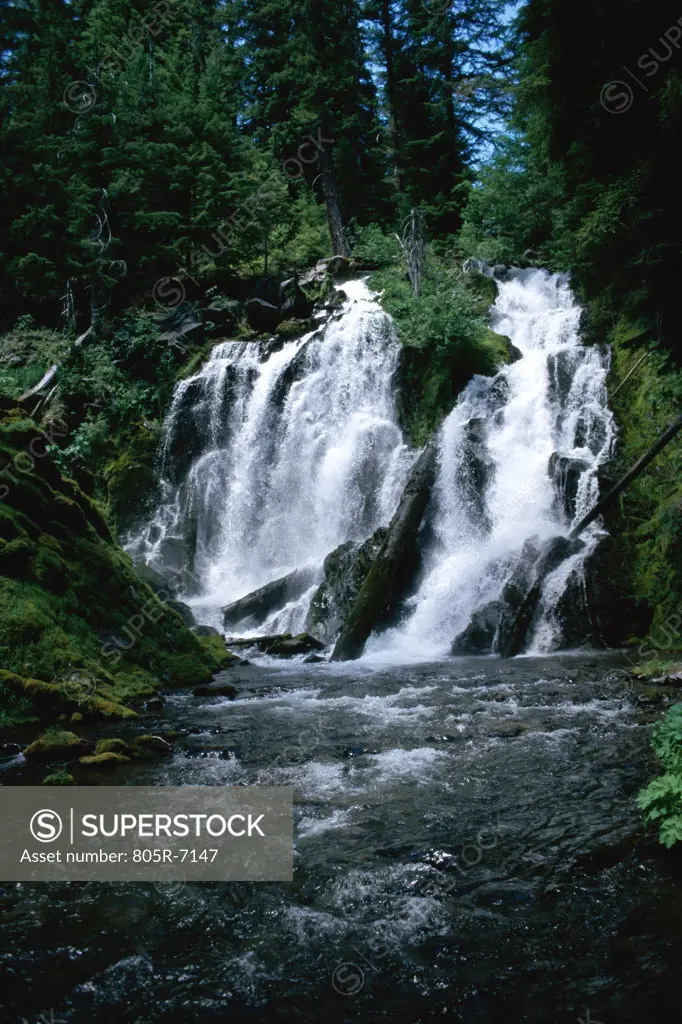 National Creek Falls, Rogue River National Forest, Oregon, USA