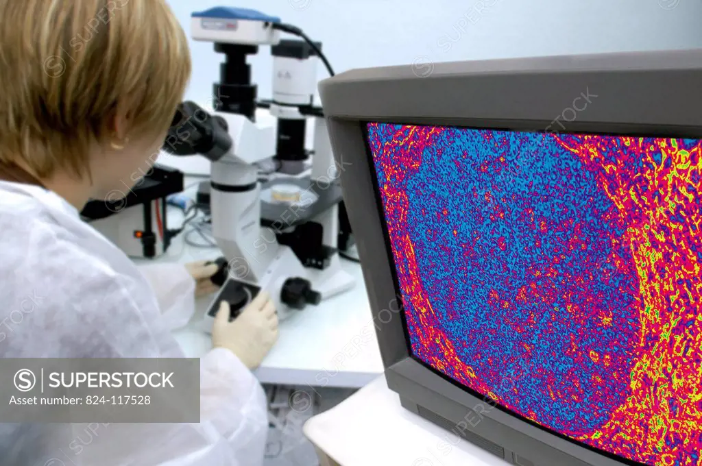 A lab assistant looking at a stem cell under a microscope.