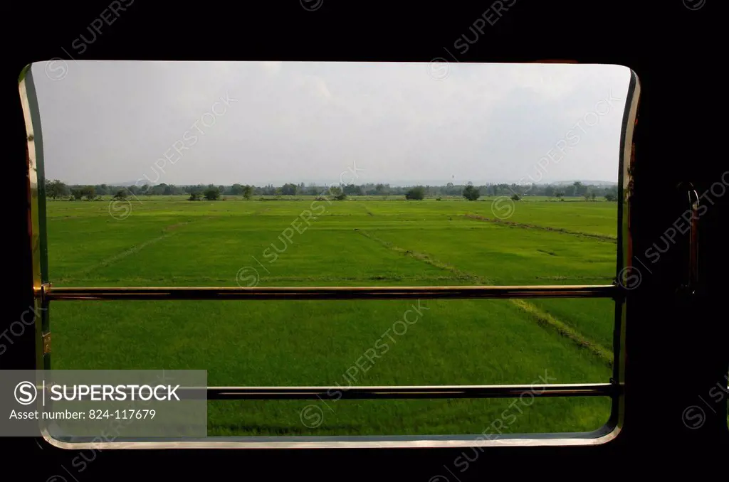 Rice field seen from the Eastern & Oriental Express train