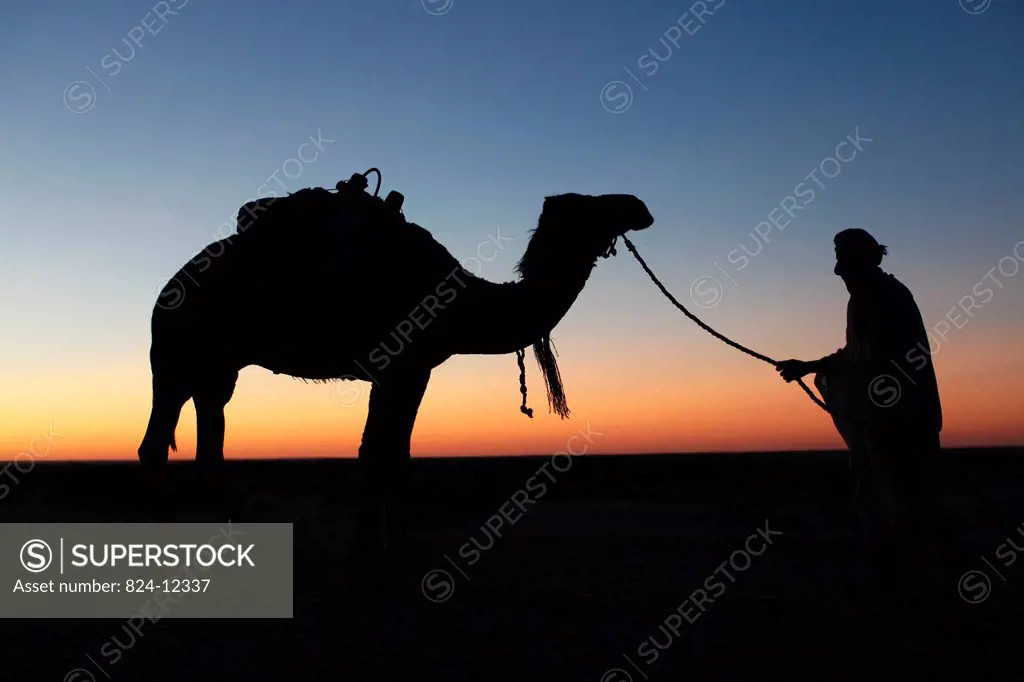 Camel driver at dusk in the Sahara desert.