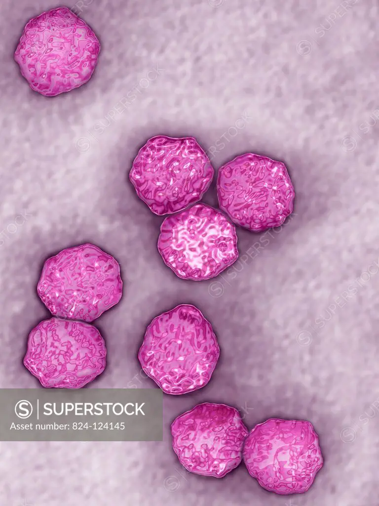 Hepatitis A virus (HAV). Image produced using high-dynamic-range imaging (HDRI) from an image taken with transmission electron microscopy. Viral diame...