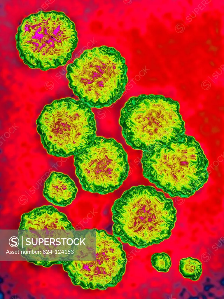 Hepatitis C virus (HCV). Image produced using high-dynamic-range imaging (HDRI) from an image taken with transmission electron microscopy. Viral diame...