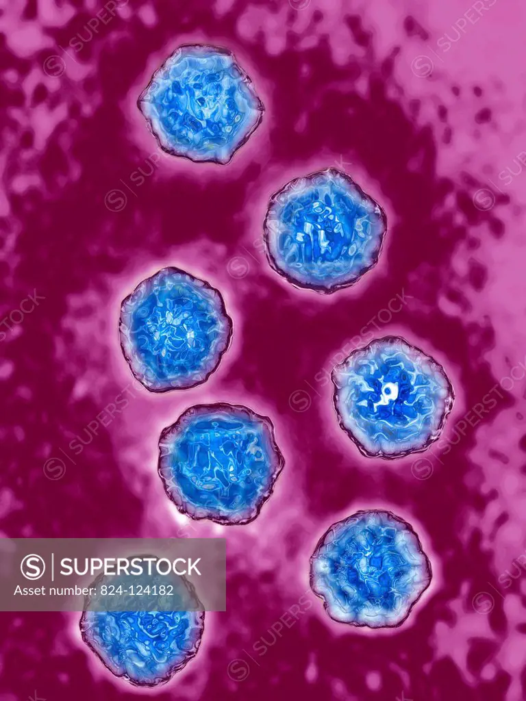 Poliovirus. Image produced using high-dynamic-range imaging (HDRI) from an image taken with transmission electron microscopy. Viral diameter ranges fr...