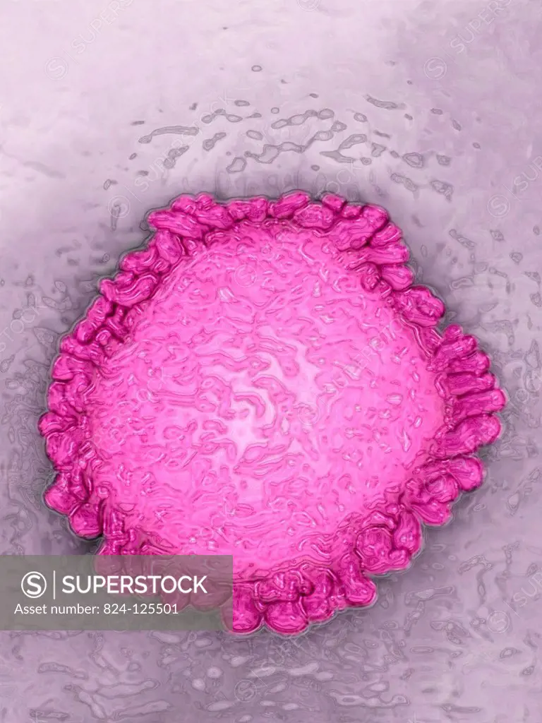 Coronavirus. Image produced using high-dynamic-range imaging (HDRI) from an image taken with transmission electron microscopy. Viral diameter ranges f...