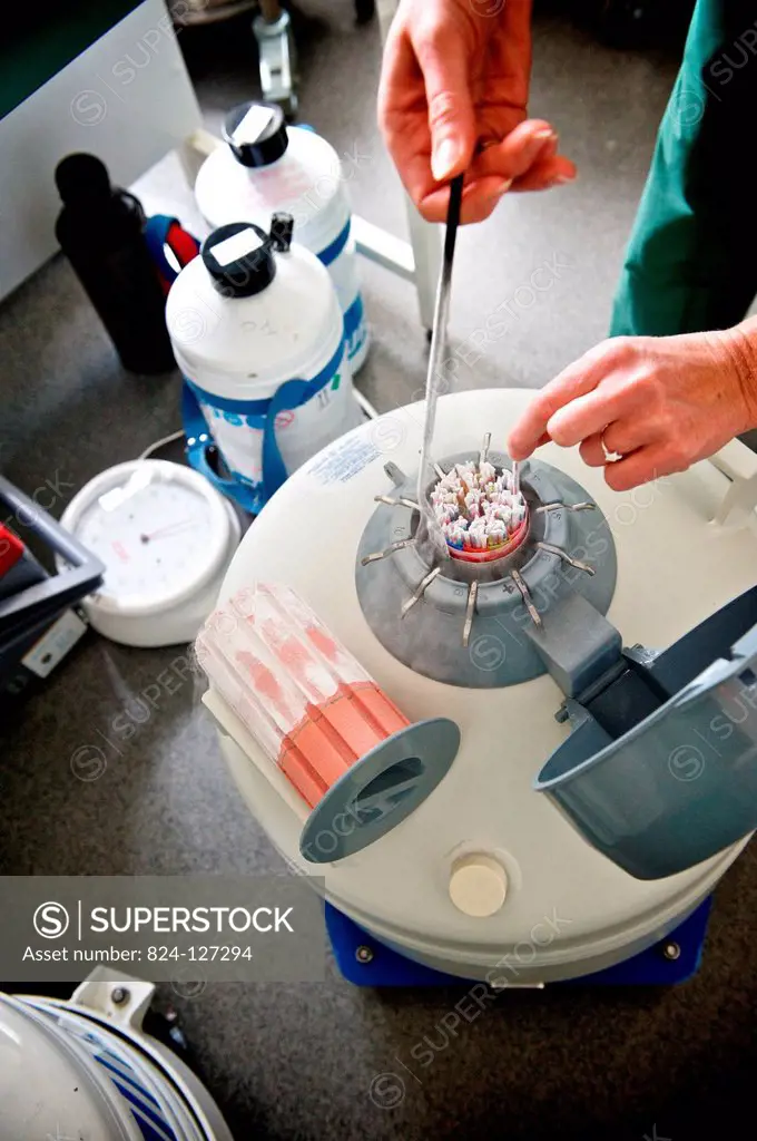 Reportage in the Medically Assisted Procreation (MAP) service in Antoine-Béclère hospital in France. Sperm straws frozen in liquid nitrogen.