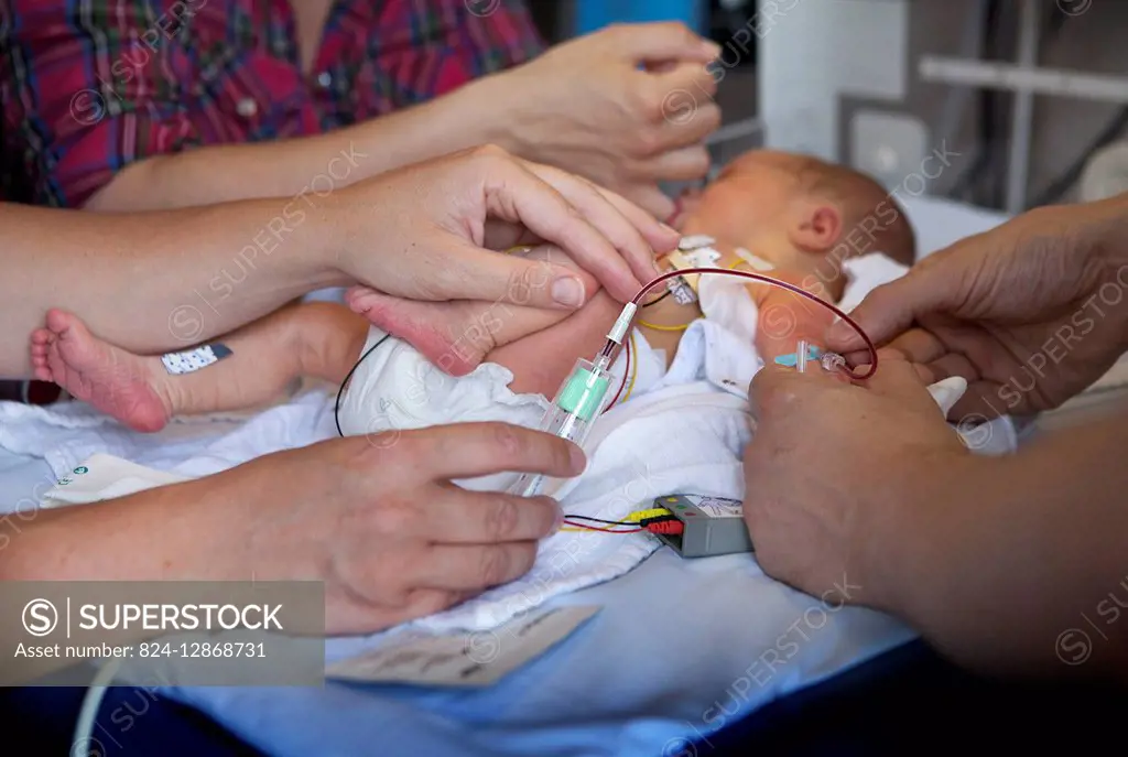 Reportage in the level 2, neonatology service in a hospital in Haute-Savoie, France. A nurse takes a blood sample from a newborn baby showing heart be...