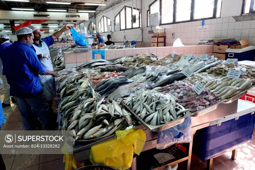 Mina port fish market, Abu Dhabi.