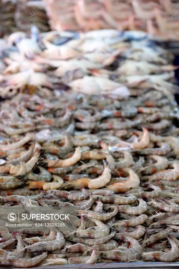 Mina port fish market, Abu Dhabi. Shrimps.