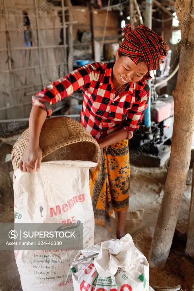 Hao Nimol bought a rice husking machine with a loan from HKL microfinance.