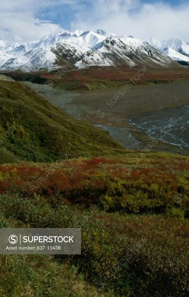 Mount Eielson Denali National Park Alaska USA
