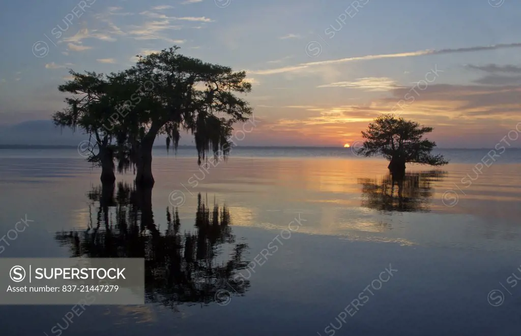 lake blue cypress sunrise