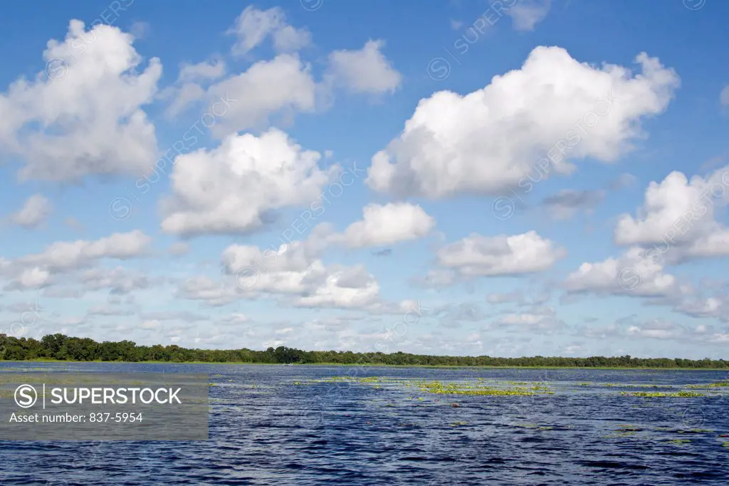USA, Florida, Lake With Blue Sky Filled With Many White Clouds