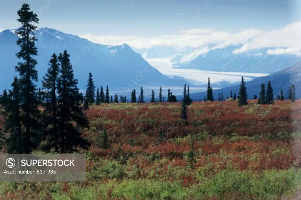 Nelchina Glacier Alaska USA